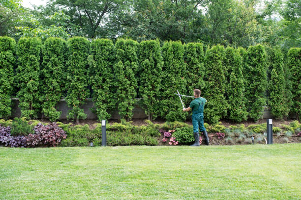 Best Landscape Design and Installation  in Vassar College, NY
